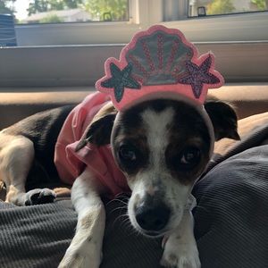 Meet your Posher, Shelly